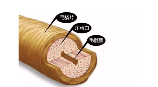 餐饮界 餐饮新媒体