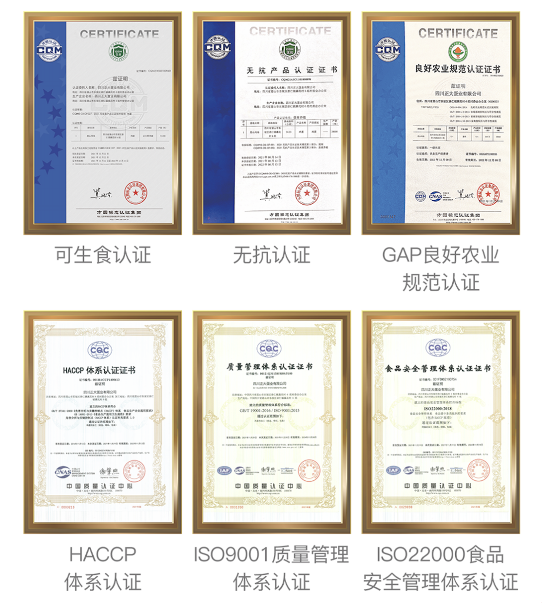 饮品报 饮品新媒体 yinpinbao.cn