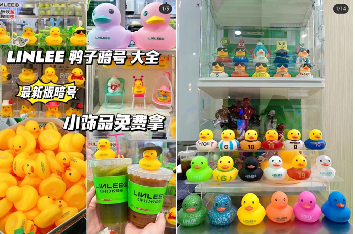 饮品报 饮品新媒体 yinpinbao.cn