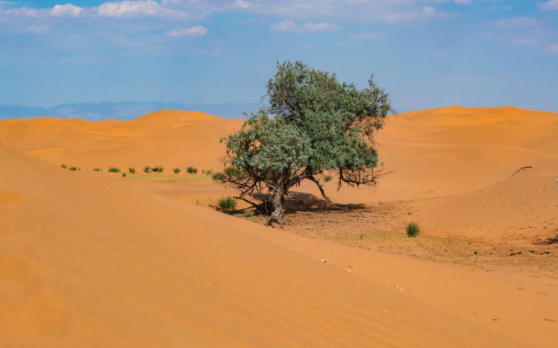 饮品报 饮品新媒体 yinpinbao.cn