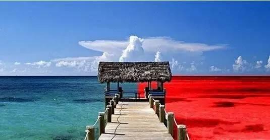 火锅红海里还能怎么深扒蓝海区域？|饮品报