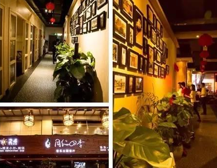 从华强北转战椰子鸡 同仁四季音乐主题餐厅悟出了延长产品周期的奥秘|饮品报