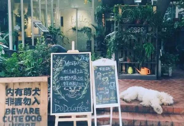 如何开家能赚钱的咖啡馆？过来人是这样算帐的...|饮品报