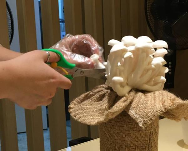 餐饮三巨头的“爆品”玄机，其实就是4个字