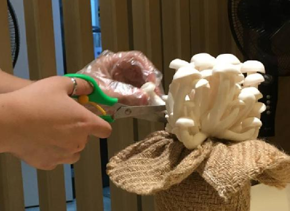 餐饮三巨头的“爆品”玄机，其实就是4个字|饮品报