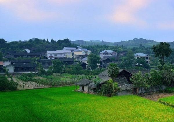 城市水太深，回乡开餐厅？看完这篇你再做决定……|饮品报