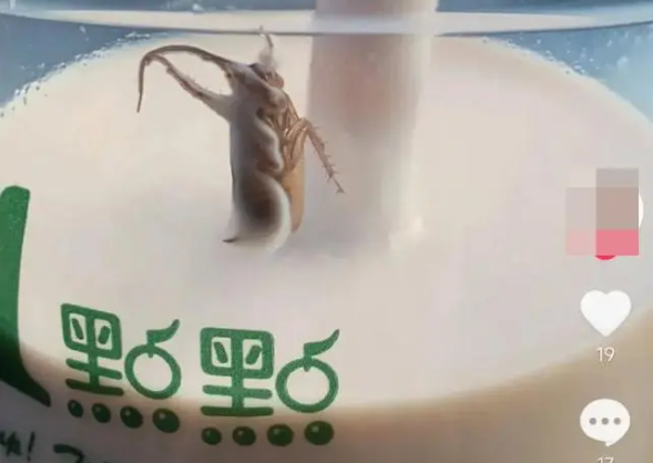 消费者在中南城一点点奶茶里喝出了只蟑螂|饮品报