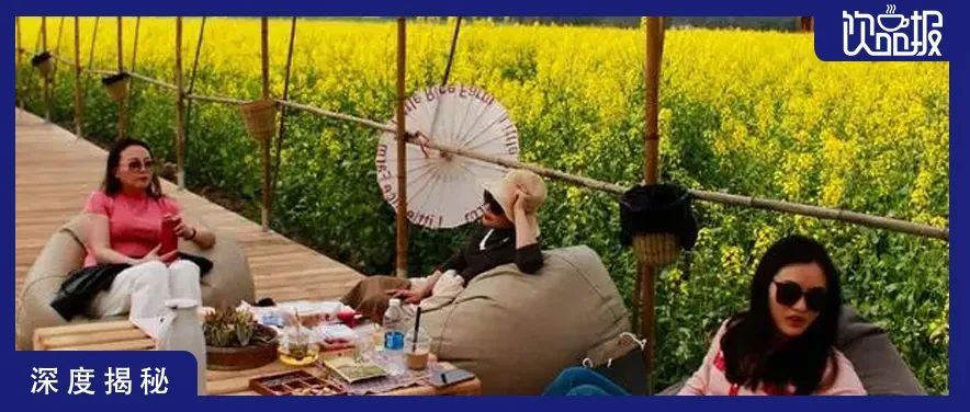 揭秘“乡村咖啡”火爆·背后的流量密码！