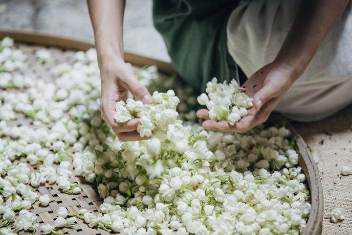 牵手“传承大师”共建品质供应链，茶百道自有茶叶生产基地在福州投产|饮品报