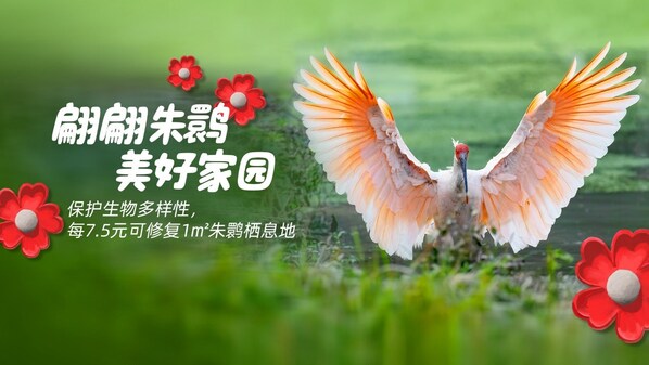 久久公益节，菲仕兰发起捐步活动守护朱鹮家园|饮品报