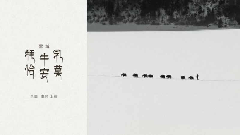 喜茶限时全国上新「雪域·牦牛乳恰安莫」，灵感诠释藏式甜茶|饮品报