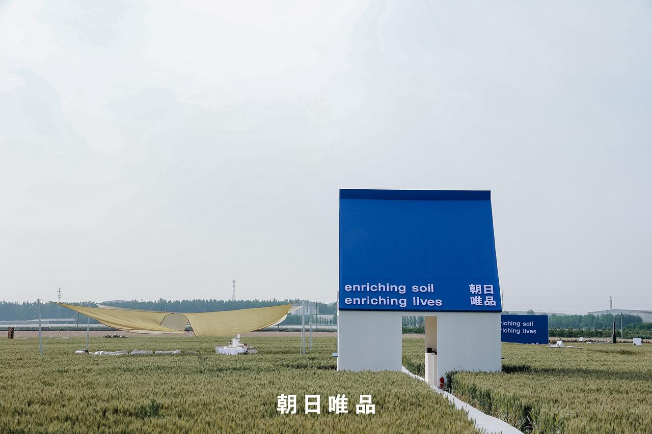 朝日唯品，如何让有机被感知？