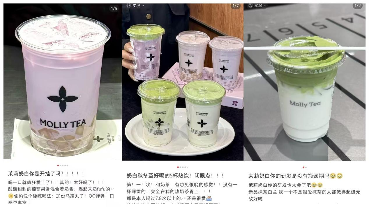 延续全年研发势能，茉莉奶白上新抹茶特调新品系列|饮品报